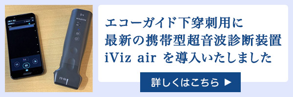 エコーガイド下穿刺用